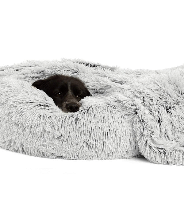 Enhance Your Dog’s Comfort with Orthopaedic and Memory Foam Beds