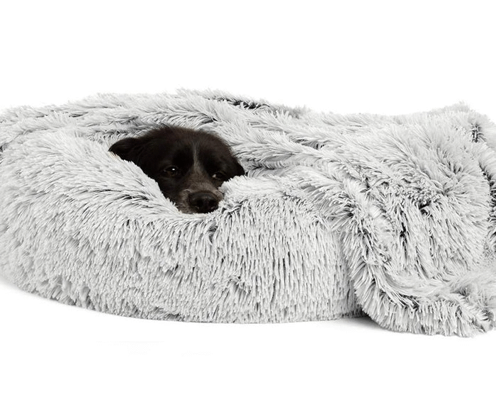 Enhance Your Dog’s Comfort with Orthopaedic and Memory Foam Beds