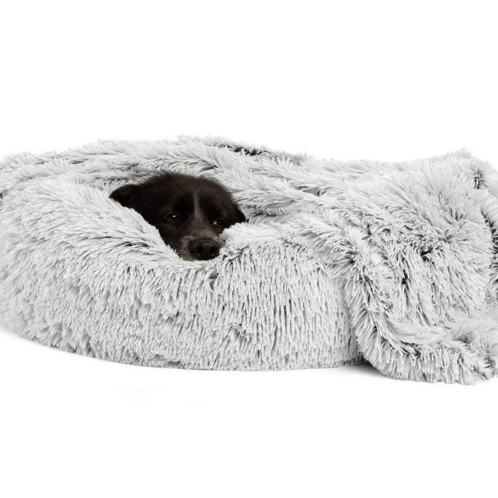 Enhance Your Dog’s Comfort with Orthopaedic and Memory&hellip;