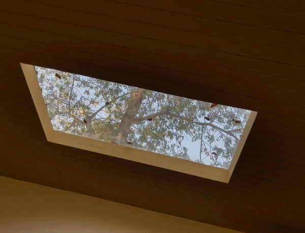 Top Benefits of Fixed Roof Light Windows: Natural Light, Energy Efficiency & Design Appeal