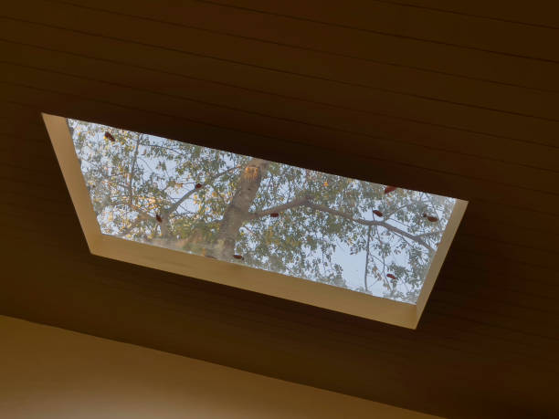 Top Benefits of Fixed Roof Light Windows: Natural Light, Energy Efficiency & Design Appeal