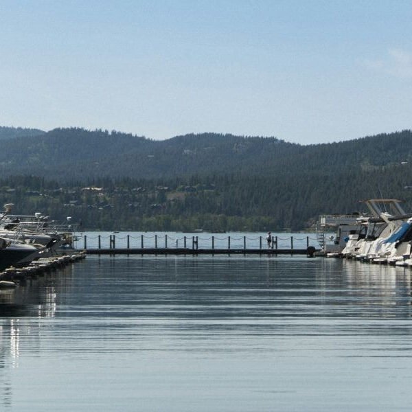 NAEGELI Deposition & Trial