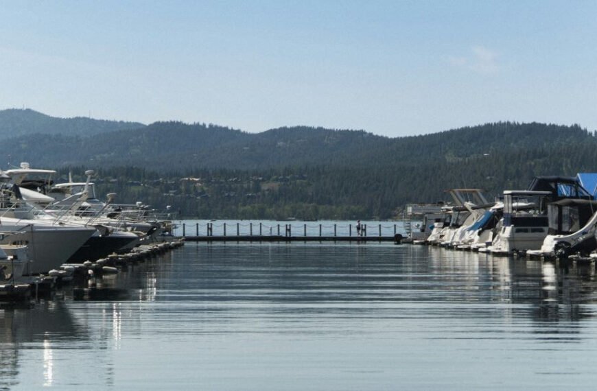 NAEGELI Deposition & Trial